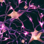 Neurosciences : les nouveautés sur le cerveau humain